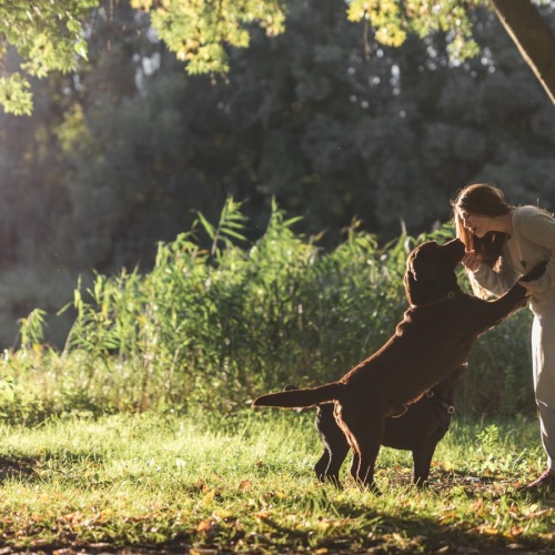 a person and a dog in a park